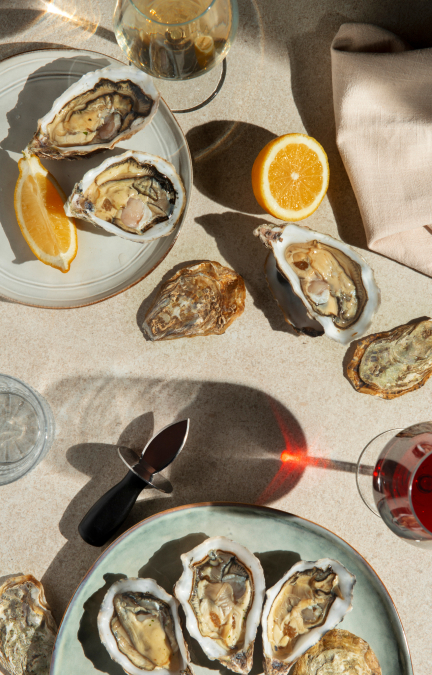 still-life-with-oysters-ready-eat 1